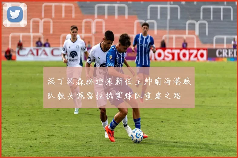 诺丁汉森林迎来新任主帅前海港狼队教头佩雷拉执掌球队重建之路